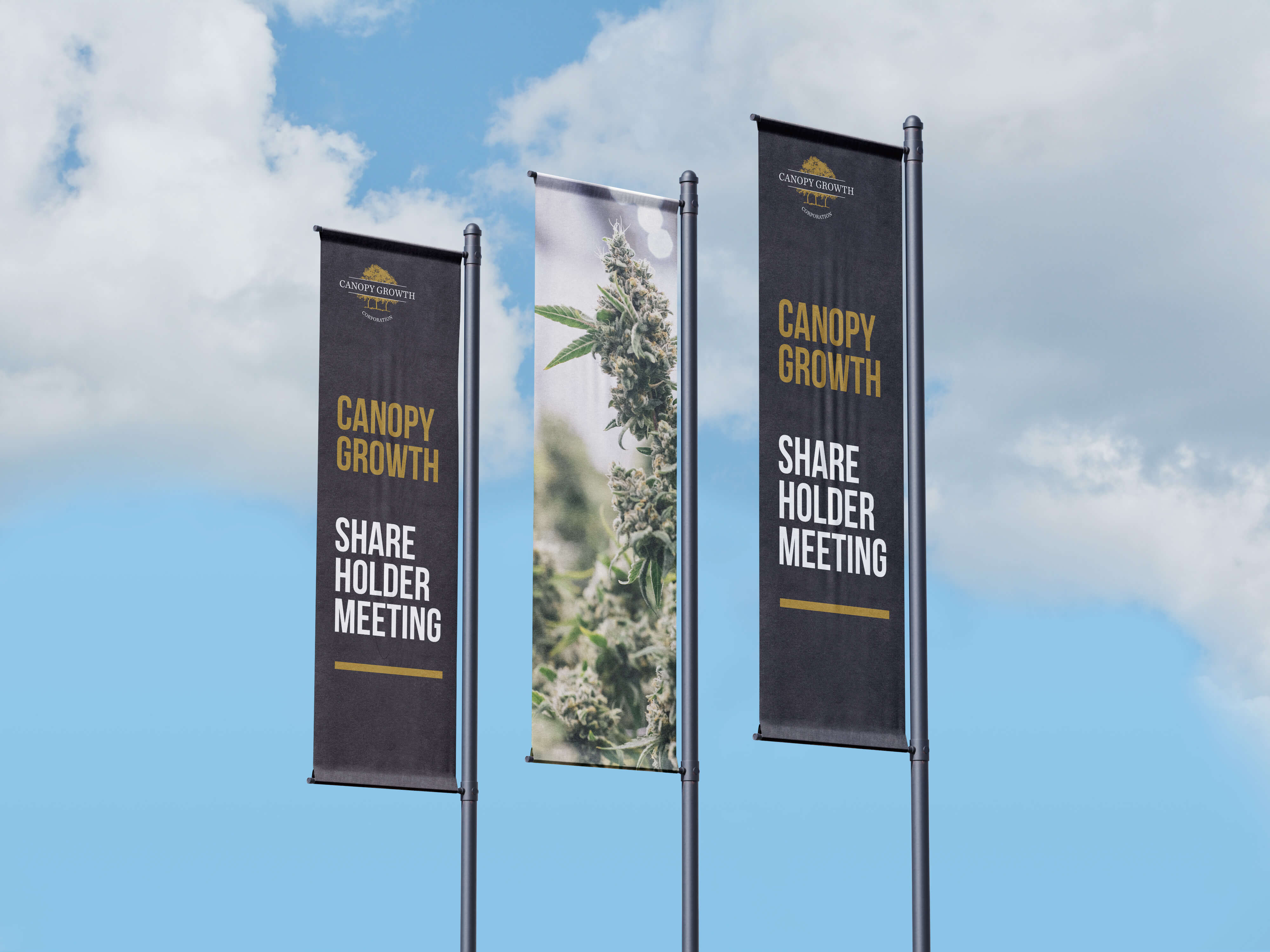 Canopy Banners